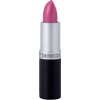 Hot Pink Lipstick 4.5g