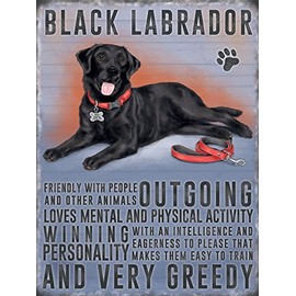 Fridge Magnet - Black Labrador Dog