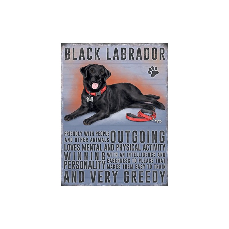 Fridge Magnet - Black Labrador Dog