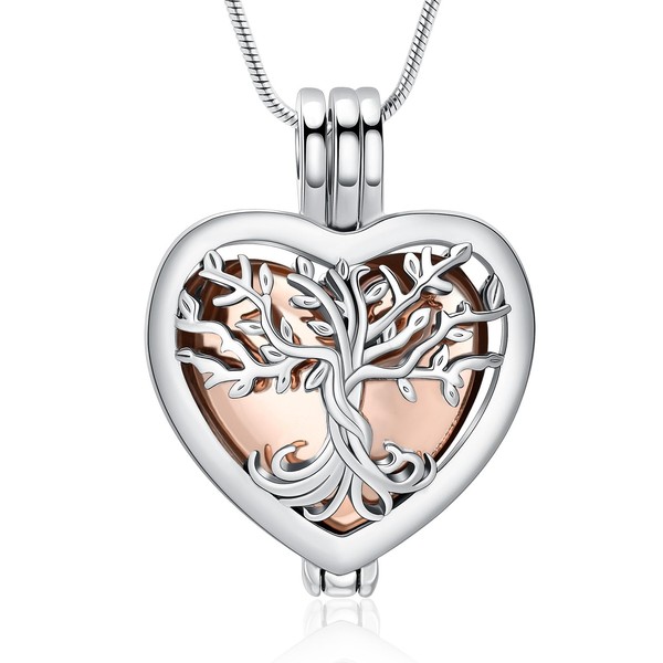 VCCWYQK Heart Urn Necklaces for Ashes for Women Cremation Jewellery