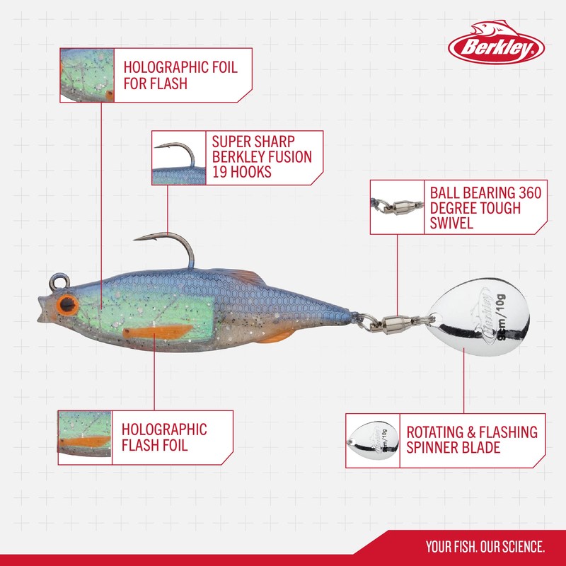 Berkley Pulse Realistic Roach Flash – Angelköder aus weichem Gummi