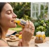 Shots Inmunológicos Cold Pressed Jengibre, Cúrcuma (14 Pack)
