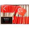 One Box of 100 Country Toothpick Flags, 100 Small Mini