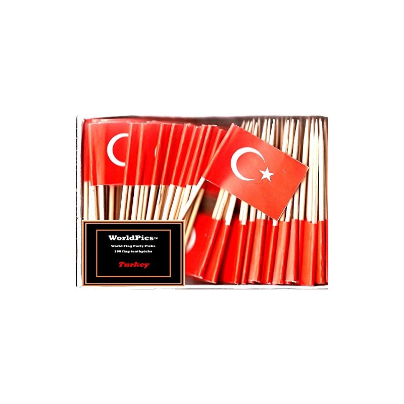 One Box of 100 Country Toothpick Flags, 100 Small Mini