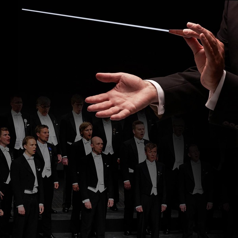 Domofa Music Baton Conducting Baton Orchestra Baton with Case Rosewood