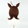 Agnes Tachyon Cosplay Wig and Tail Anime Game Uma Musume