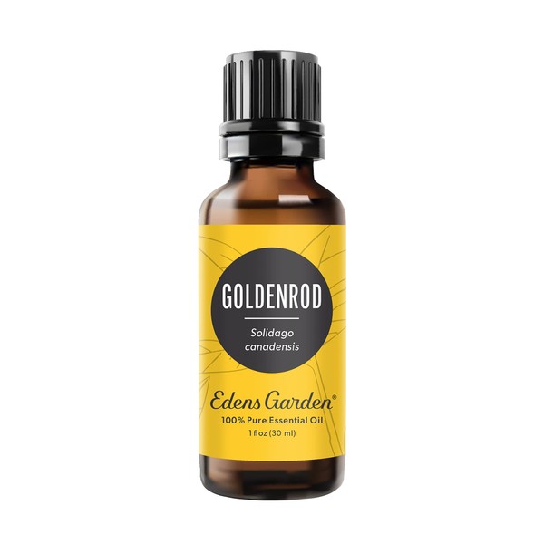Edens Garden Goldenrod Essential Oil, 100% Pure Therapeutic Grade (Undiluted Natural/Homeopathic Aromatherapy Scented Essential Oil Singles) 30 ml