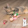 Catstages Purrsecco & Cupcakes Plush Interactive Catnip Cat Toys -