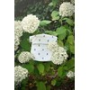 Sophie Allport - Bees Peg Bag, Clothes Peg Storage Bag,