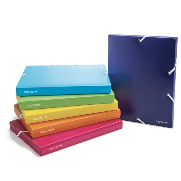 RI.PLAST 89356 Folder with Coloured Polypropylene Elastic, Assorted Colours, 30 mm