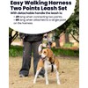 LufeLux No Pull Dog Harness Two Point Control Leash Set,