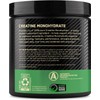 Optimum Nutrition Micronized Creatine Monohydrate Powder, Unflavored, 60 Servings, 300