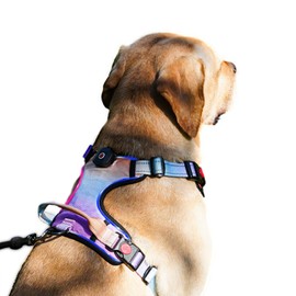 LED Light Up Dog Harness: USB Rechargeable Glowing Waterproof Reflective No Pull Adjustable Oxford Vest with Easy Control Handle for Pet Outdoor Night Safety Walking (Gradual Purple, X-Large)