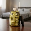 Preservativos Diseños Diferentes Preven Pakk 100pzs