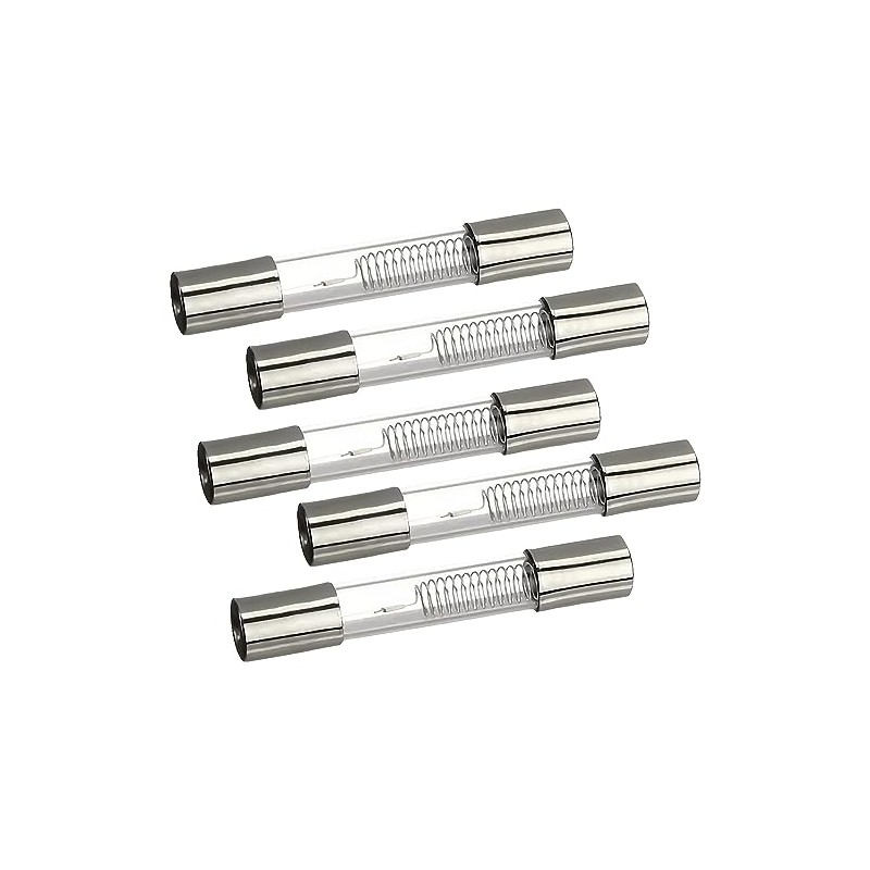 MONTERAL 5 Pieces - Glass Fuses 750 mA 5 kV