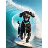 CALVENDO Puzzle Poodle Surfing - Black Poodle on a Surfboard