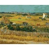 Meecaa Paint by Numbers Wheat Field Van Gogh Natural Kit