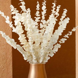 16Pcs Bleached Dried Eucalyptus Stem Bundle - 100% Natural Cream White Real Preserved Eucalyptus Branches, Eucalyptus Leaves for Vase Filler, Wedding, Home, Floral Arrangement
