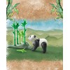 Playmobil - Wonderful Planet, Panda