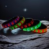 DOGLED LED Light Up Dog Collar, USB-C Rechargeable, Multicolor Paw