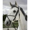 Riding World Mexican Horse Bridle Bridle
