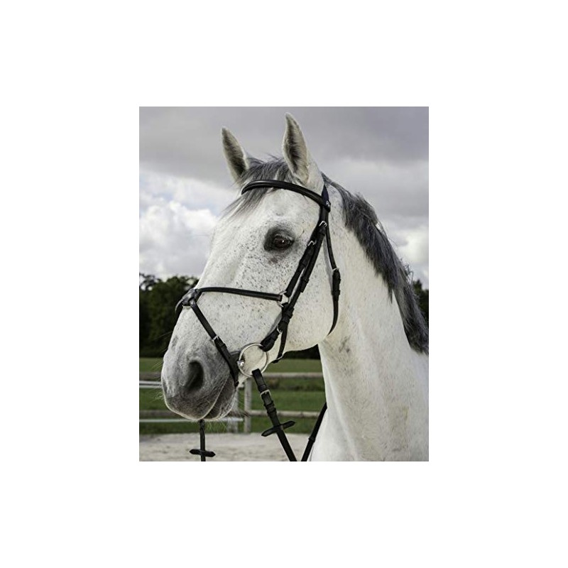 Riding World Mexican Horse Bridle Bridle