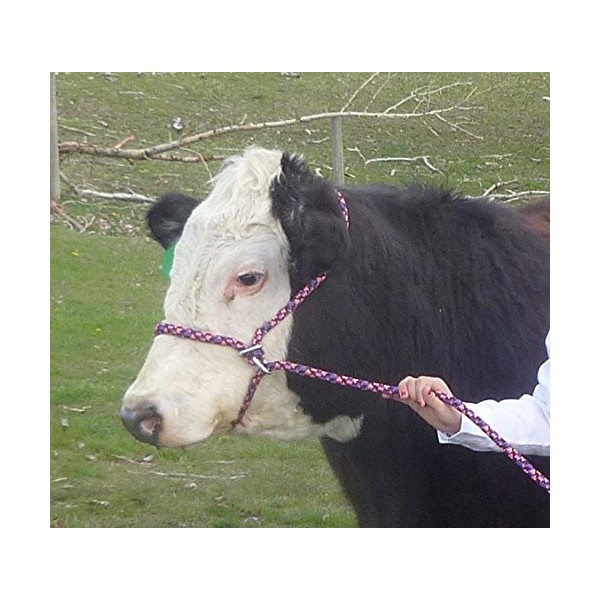 New Style Rope Cattle Halter, Easily Adjustable for Calf, Cow,