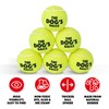 The Dog's Balls, Dog Tennis Balls, Quality Dog Toys, Premium