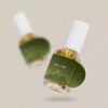 Cheon Binu Soap [천비누솝]정안 진액 앰플 30ml 1개 [Cheon Soap]