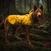 Wilderdog Dog Jacket Waterproof Raincoat with Breathable Interior, Removable Hood,