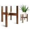 Lissomballon Natural Bamboo Plant Stand Indoor, Adjustable Plant Shelf Indoor