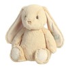 Aurora® Vibrant Spring My 1st Easter Bunny Stuffed Animal -