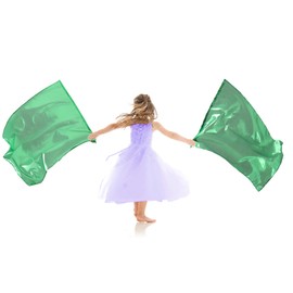Wuchieal One Pair 26.77 Inch Metallic color Flag Poi with Rod, Church Liturgical Praise Prophetic Worship Adoration Dance Banner Poi Streamer, Practice Play Gorgeous Poi Flag (Green)