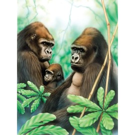 Paint by Numbers - Junior "Gorillas", DIY Picture Approx. 33 x 24 cm, Includes 7 Acrylic Paints, Brush and Printed Painting Card, Ideal for Beginners and Children from 8 Years