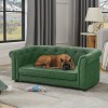 Pet Sofa with Arc-shaped Backrest and Armrests, Contemporary Rectangular Pet