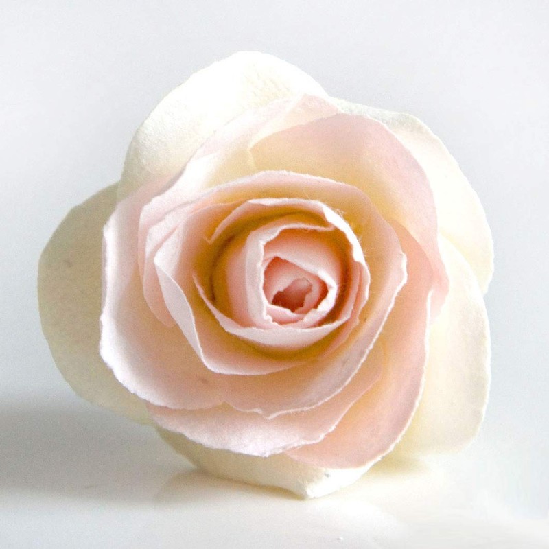 Penny& Rose Blush Rose Diffuser | Summertime Spirits Oil Scent