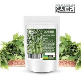 (건강스토리)국내산 미나리 분말 200g (Health Story) Domestic Minari Powder 200g
