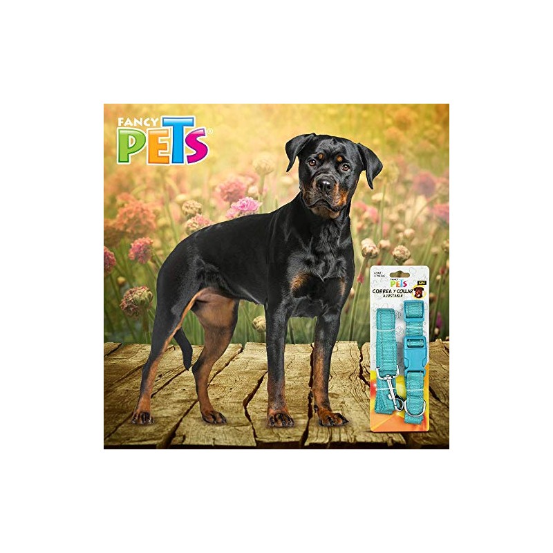 Fancy Pets Correa con Collar de Nylon para Perro con