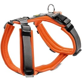 Hunter Maldon Y-Shape Soft Padded Harness for Sports, XS