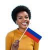 25 Packs Small Russia Flags on Handheld Stick，Miniature Russian Flag