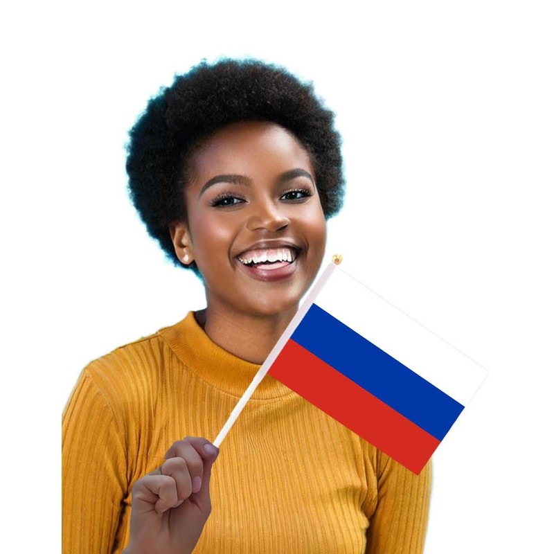 25 Packs Small Russia Flags on Handheld Stick，Miniature Russian Flag