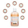 Ginger Lily Farms Botanicals Moisturizing Shampoo for All Hair Types,