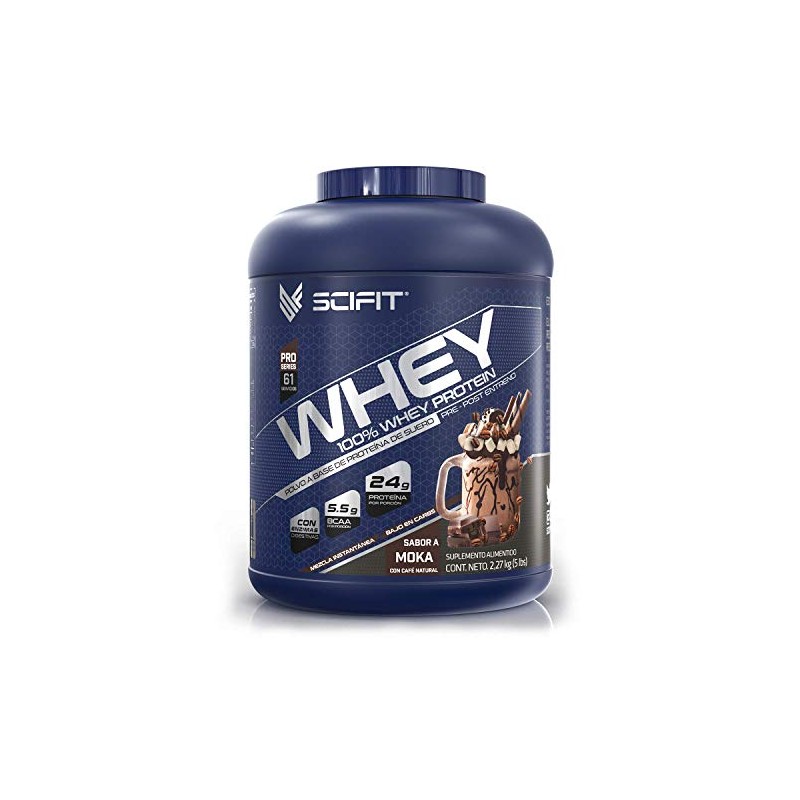 Scifit Protena Whey 24 g de Protena 100 Whey Protein