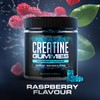 DEMON LABZ Creatine Gummies - 3000mg Per Serving, Raspberry Flavour
