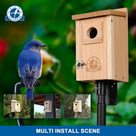 SISTERBIRD Bird Houses for Outside 1-1/2" Entrance Hole Cedar Wild BirdHouses with Wood Guard Outdoor Bluebird Wren Swallow Finch Assembly Required