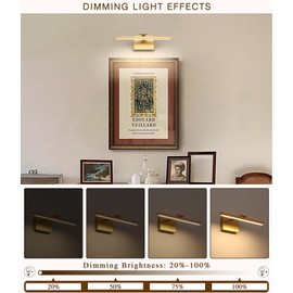 Joosenhouse Hard Wired Picture Light Gold Modern Picture Lights for Paintings 300 Lumens Brightness Adjustable Swing Arm Wall Lamp Dimmable Accent Lighting 110V AC