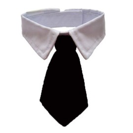 ANIAC Adjustable Dog Cat Neck Tie Puppy Pet Costume White Collar