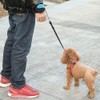 Retractable Hands Free Dog Leash, 360° Tangle-Free Heavy Duty Wrist