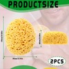 2 Pack Large Soft Honeycomb Bath Sponges – Body Scrubber