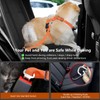 VavoPaw Dog Seat Belt Harness for Car, Dog Car Harness